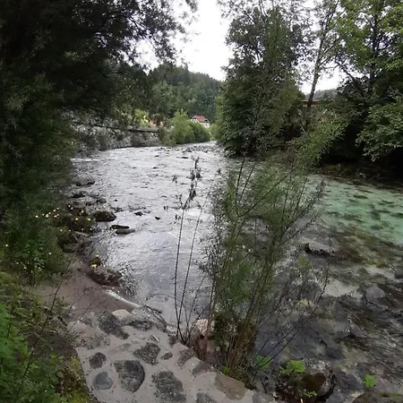 Krivec * Luče